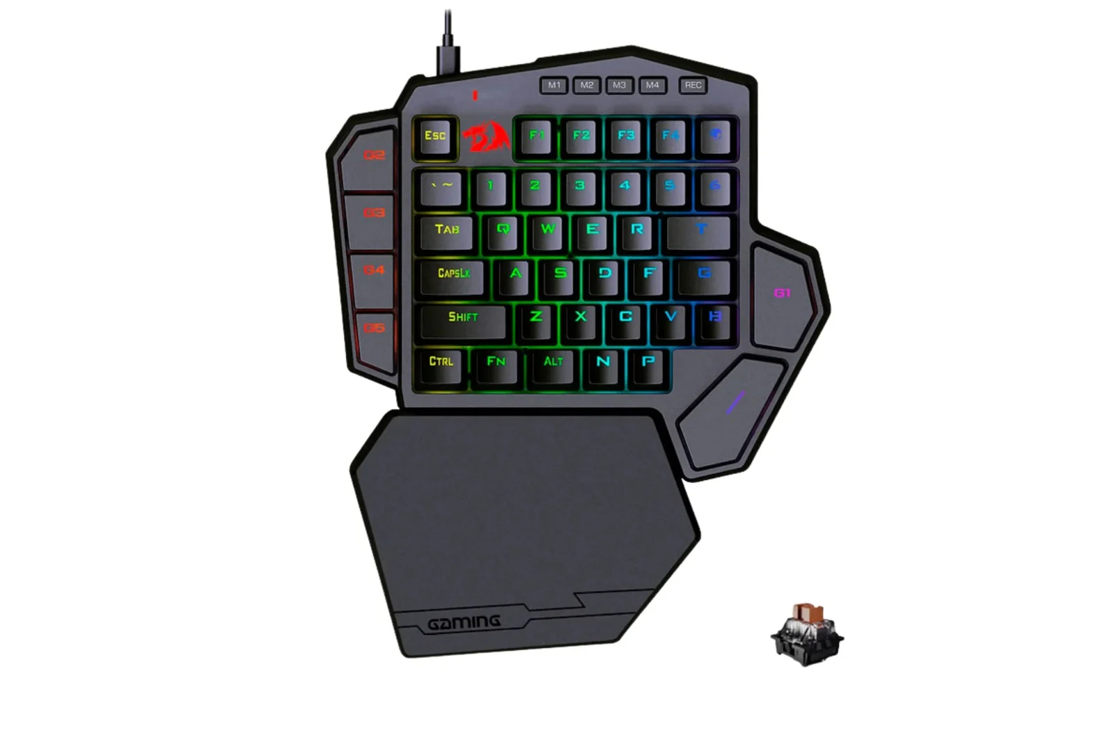 Miniatura 1